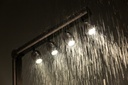 image_1