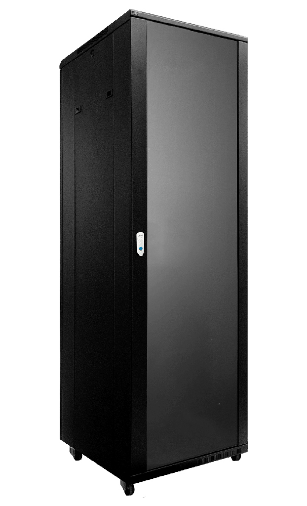 CAYMON - SPR642 - 19" rack cabinet - 42 units - 600mm W x 600mm D