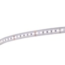 CONTEST - LONGTAPE120CW - Cold white LED ribbon 6000K - 20m roll - 24V - IP68 - 120 LEDs/meter