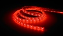 CONTEST - COLORTAPE6065 - Ledstrip RGB - 60 LEDs/meter version with a silicone safety dome - IP65 - 5m