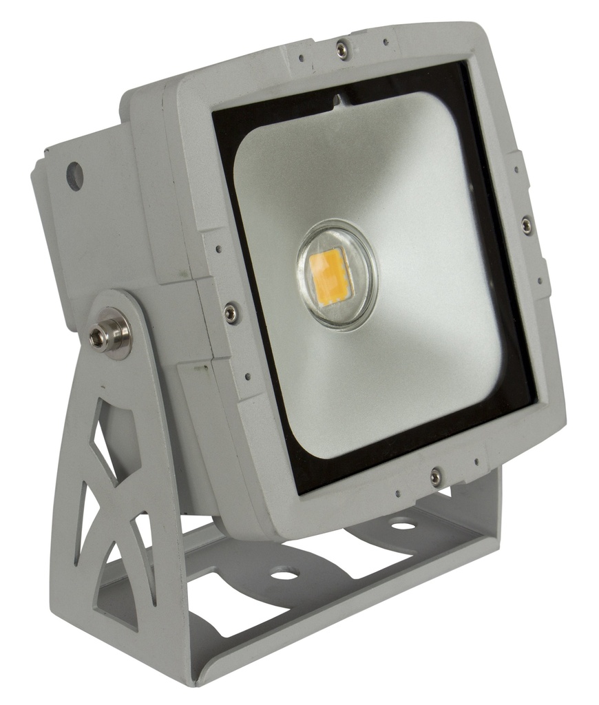 BRITEQ - LDP-COBWASH 50WW - Powerful indoor / outdoor IP65 LED projector equipped with a WHITE COB led