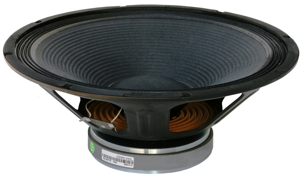 JB SYSTEMS - PWX 15/300 - Woofer 15" / 300Wrms