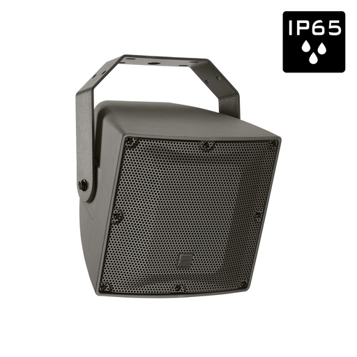 AUDIOPHONY PA - EXT106 - Outdoor coaxial speaker 6.5"+1" - 100W RMS – 100V / 8 Ohms - IP65